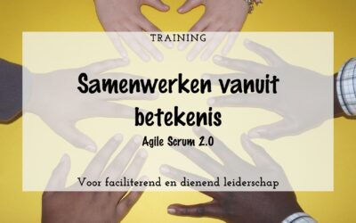 Training: Agile Scrum 2.0 Samenwerken vanuit betekenis