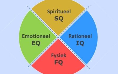 De 4 dimensies van intelligentie workshop