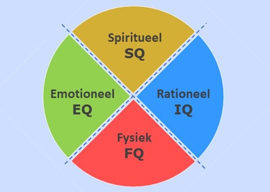 De 4 dimensies van intelligentie workshop