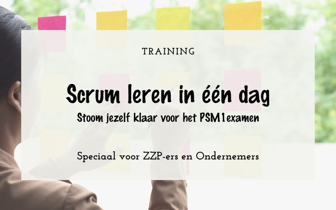 Training: Scrum PSM1 in één dag voor ZZP-ers en ondernemers