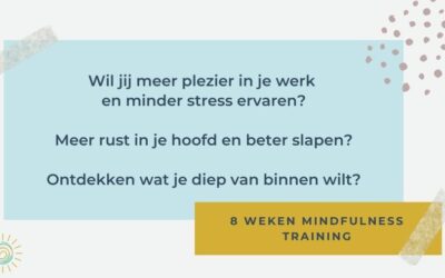 Mindfulness 8 weken training op basis van de vier intelligenties – online